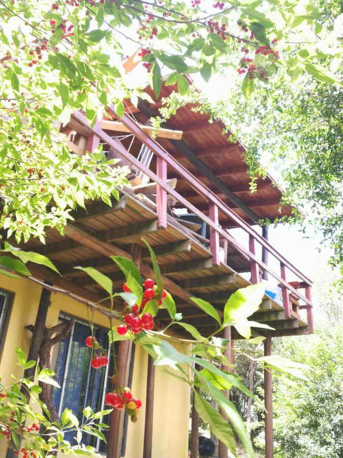 Cabana Los Pololos Villa Serrana Exterior photo